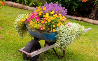 Садовые поделки своими руками: множество интересных идей