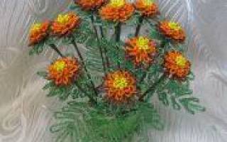Бархатцы из бисера: схема и видео-уроки бисероплетения