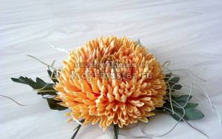 Хризантема из фоамирана: создаем цветочный шедевр