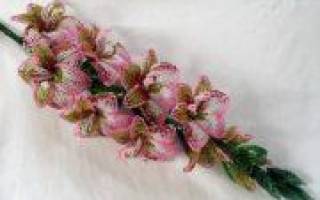 Мастер-класс по гладиолусу из бисера: увлекательный урок для всей семьи