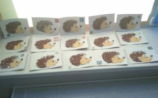 Аппликация из крупы: делаем забавного ежика