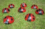 Божьи коровки для сада своими руками: делаем пошагово оригинальный декор