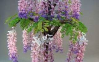 Мастер-класс по деревьям из бисера: эйва, глициния и жемчужное дерево