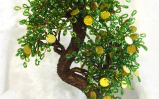 Денежное дерево своими руками из бисера: лучшие мастер-классы от опытных мастеров