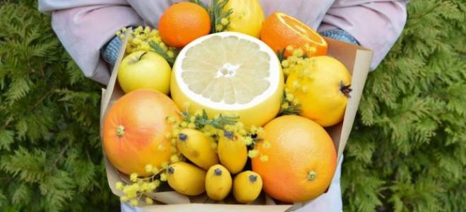 Букет из фруктов для современного подарка