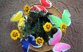 Как сделать поделку «бабочку» из разных материалов для украшения наряда