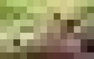 Горшки для цветов своими руками для озеленения интерьера