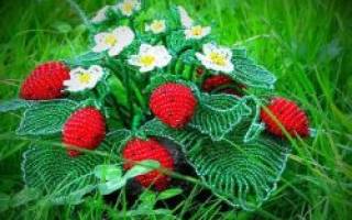 Мастер-класс по клубнике из бисера: пошаговая инструкция создания