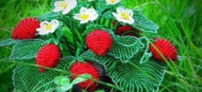 Мастер-класс по клубнике из бисера: пошаговая инструкция создания