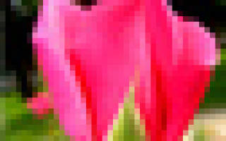 Выкройка школьного фартука для девочки: подробный мастер-класс