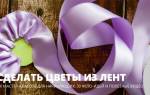 Цветок из атласной ленты: простые варианты для новичков