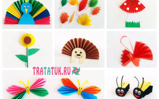 Гармошка из бумаги: подборка лучших мастер-классов