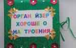 Органайзер своими руками на все случаи жизни