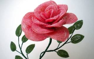 Мастер-класс по бисероплетению: плетем удивительный цветочек