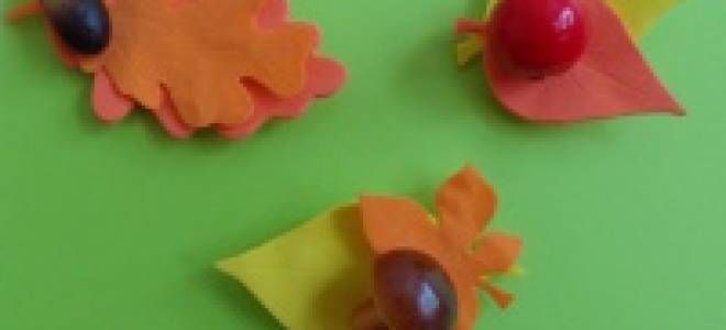 Мастер-класс по валянию цветов из шерсти для декора разных изделий