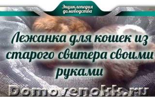 Подстилка для собаки своими руками из старого свитера