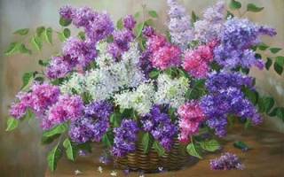 Бесплатные схемы для вышивки крестом: лучшие примеры готовых работ