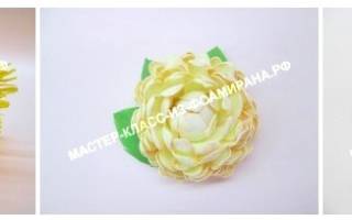 Астра из фоамирана для настоящих поклонников рукоделия