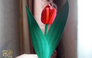 Поделки из квиллинга своими руками для начинающих: розочка, сердечко и тюльпаны