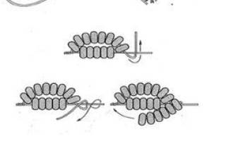 Кактус из бисера: схема плетения и мастер-класс безопасного растения