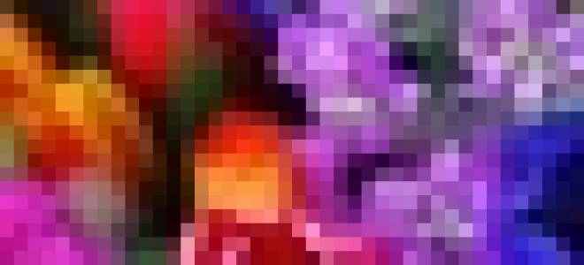 Кот из фетра с выкройками разного размера