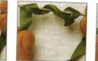 Вышивка французским узелком: добавляем вещам шарма и изыска