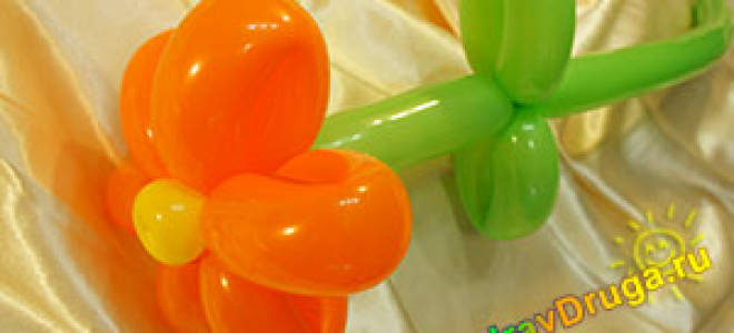 Как сделать цветок из шарика на праздник для детей и взрослых