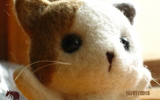 Валяние из шерсти: мастер-класс по изготовлению красивых котиков