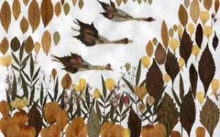 Как сделать аппликацию из листьев своими руками: знакомимся с популярной техникой