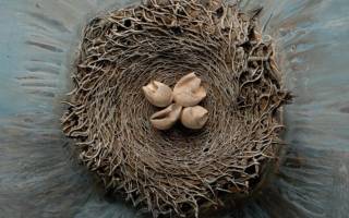 Объемная картина своими руками для оригинального украшения стен