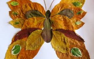 Аппликация «бабочка» из листьев и других интересных материалов