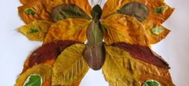 Аппликация «бабочка» из листьев и других интересных материалов