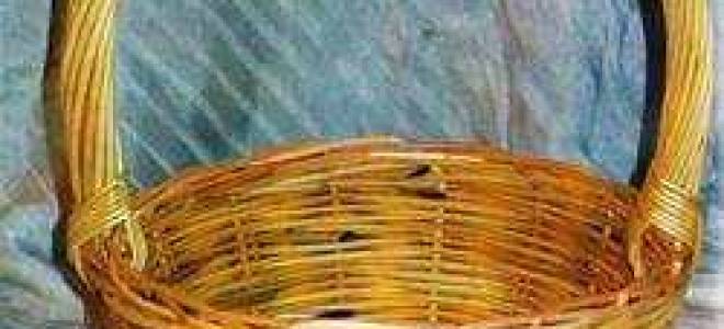 Лозоплетение для начинающих: видео-уроки разной сложности