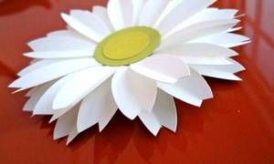Ромашка из бумаги своими руками с использованием простых техник