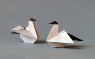 Оригами птичка: мастерим яркого журавля и чайку в полете
