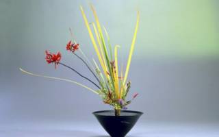 Икебана своими руками: поучительные уроки для всей семьи