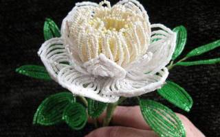 Пион из бисера: вечная красота в доме