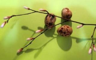 Мастер-класс по веточке вербы своими руками: найдем решение для каждого