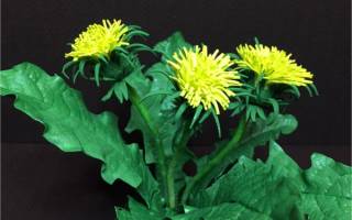 Одуванчик из фоамирана: подлинная копия природы