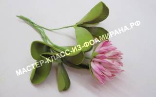 Мастер-класс по клеверу из фоамирана: необычной красоты букет за один вечер