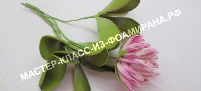 Мастер-класс по клеверу из фоамирана: необычной красоты букет за один вечер