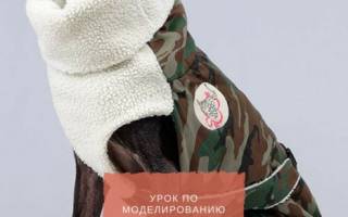 Выкройка комбинезона для собаки: стильная одежда для домашних любимцев