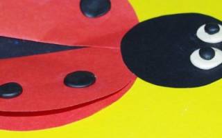 Аппликации для детей из бумаги: увлекательное занятие для всей семьи