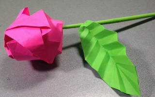 Оригами роза из бумаги: несколько несложных вариантов сборки