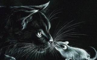 Вышивка на черной канве: основные плюсы и минусы