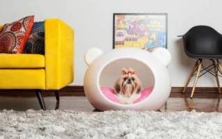 Лежак для собак своими руками: подробный разбор урока