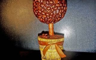 Кофейное дерево своими руками: красивая поделка за один вечер