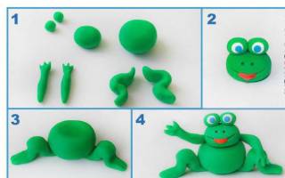 Лягушка из пластилина: основы лепки с подробной инструкцией