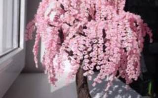 Мастер-класс по сакуре из бисера: как сделать модный сувенир своими руками