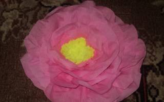 Цветок из гофрированной бумаги: подробное описание работы